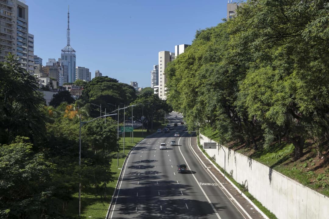 Liberdade