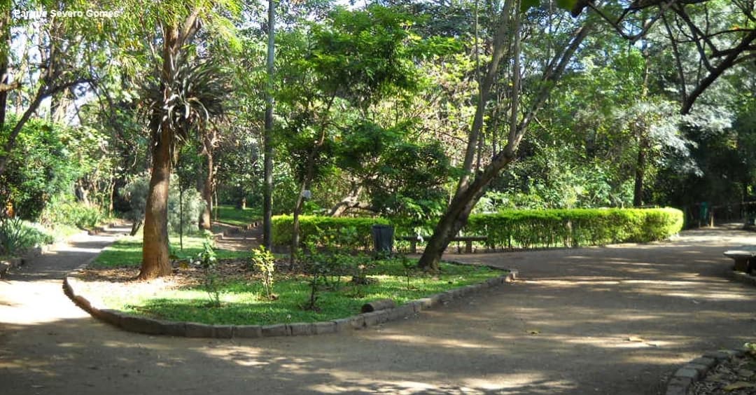 5 coisas para se fazer no Alto da Boa Vista