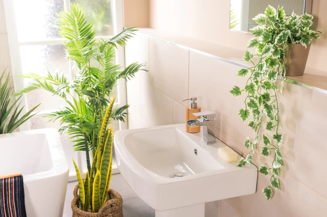 Plantas para banheiro: 25 opções e ideias para você se inspirar